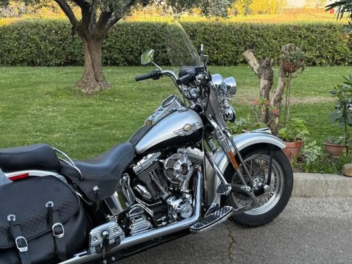Harley-Davidson 1450 Heritage Springer (2000 - 03) - FLSTS (2)
