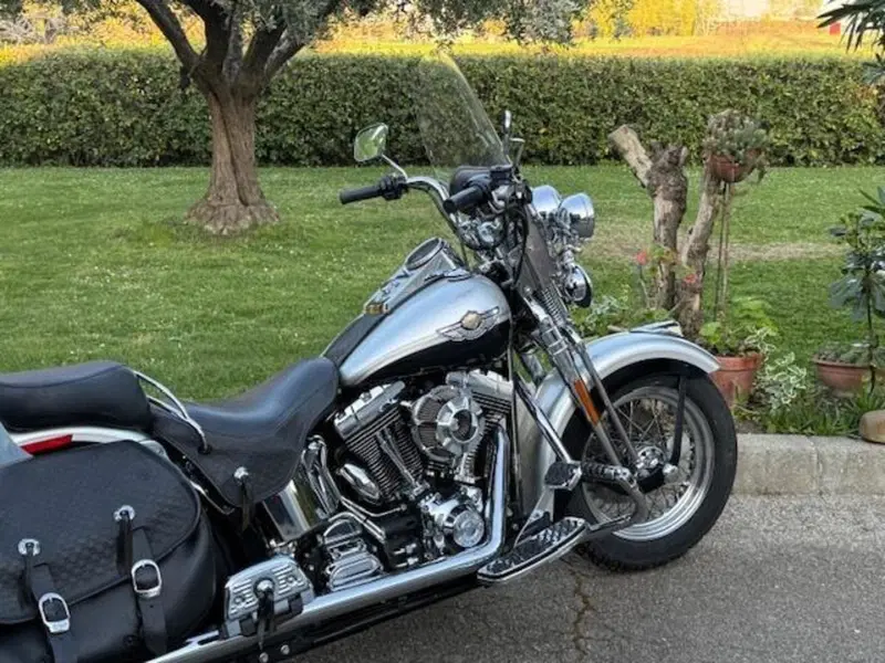 Harley-Davidson 1450 Heritage Springer (2000 - 03) - FLSTS (2)