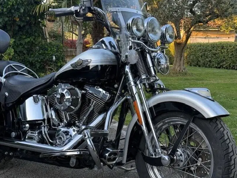 Harley-Davidson 1450 Heritage Springer (2000 - 03) - FLSTS (4)