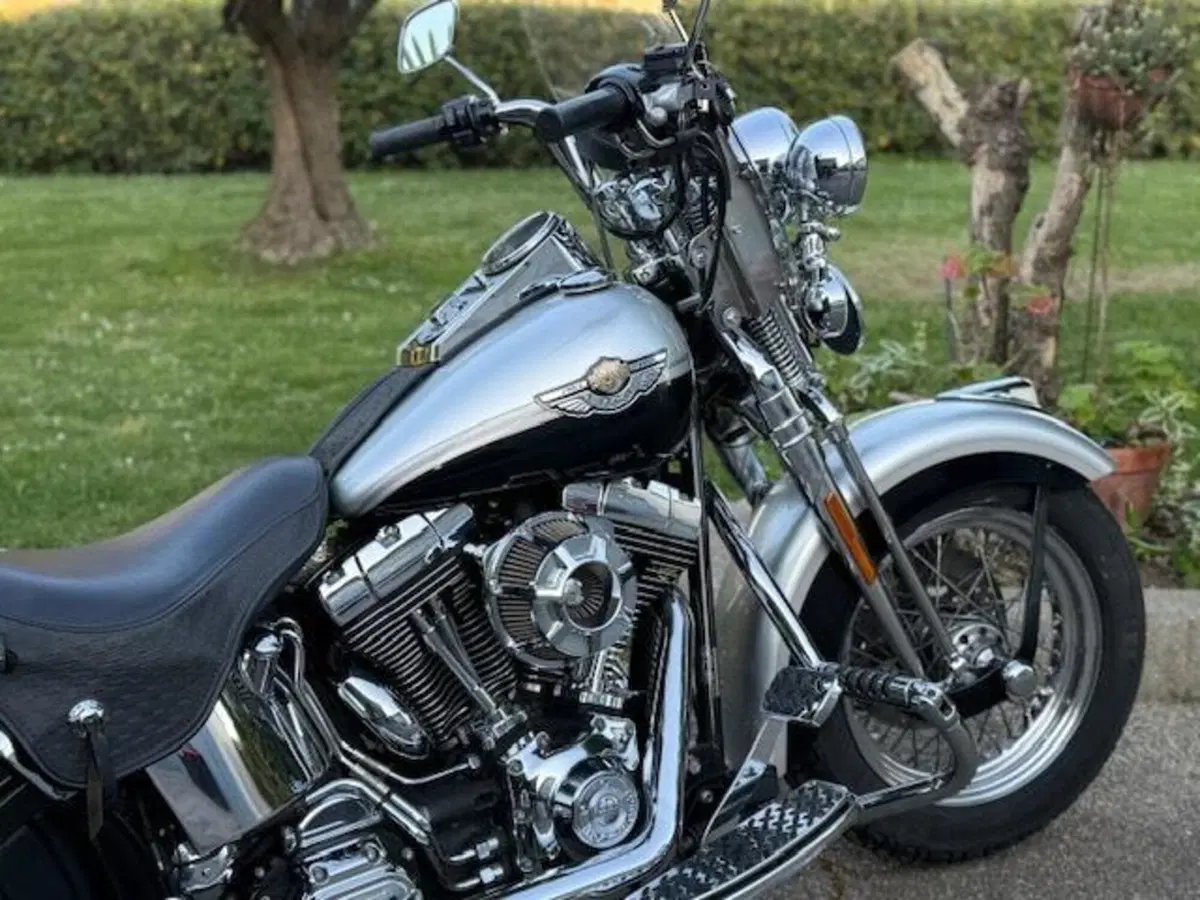 Harley-Davidson 1450 Heritage Springer (2000 - 03) - FLSTS (8)