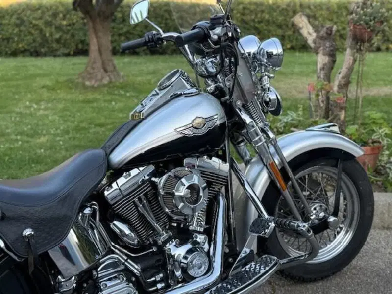 Harley-Davidson 1450 Heritage Springer (2000 - 03) - FLSTS (8)
