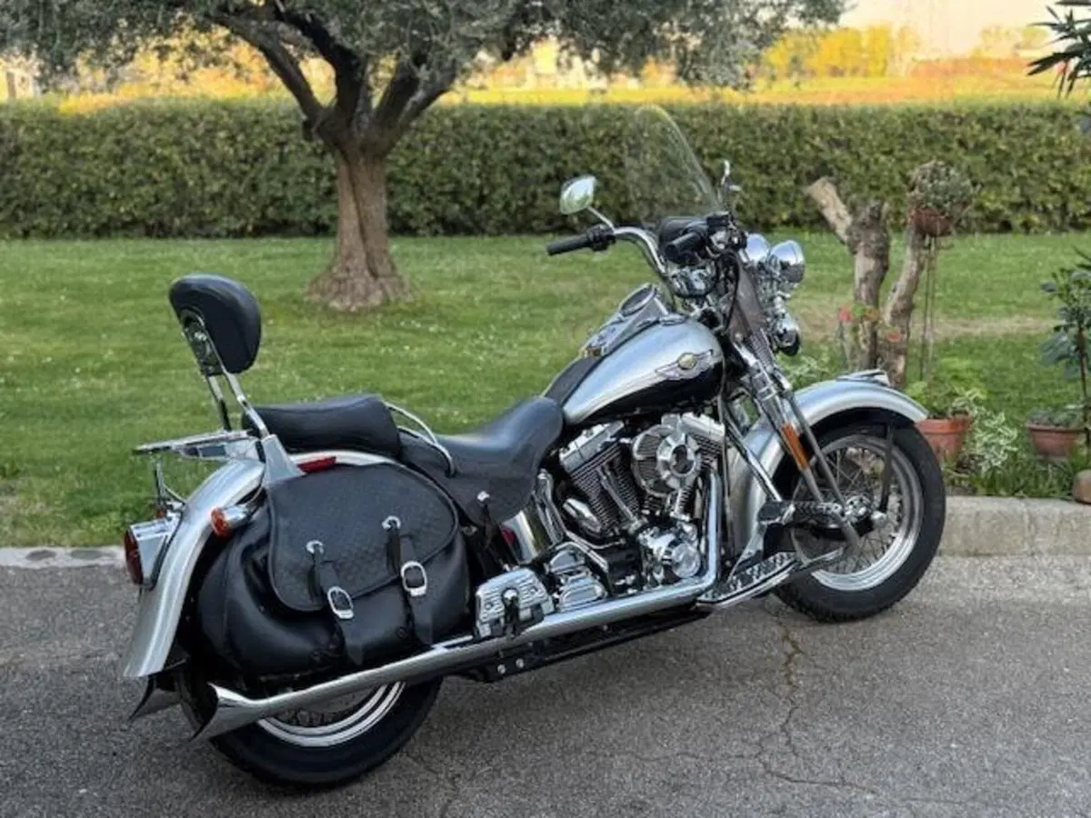 Harley-Davidson 1450 Heritage Springer (2000 - 03) - FLSTS (9)