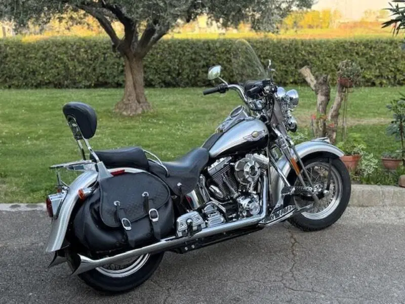 Harley-Davidson 1450 Heritage Springer (2000 - 03) - FLSTS (9)