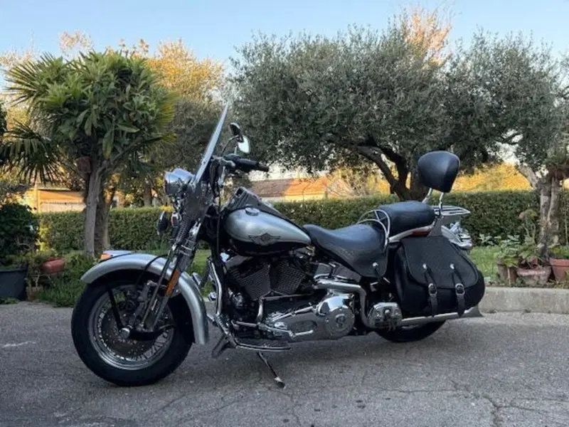 Harley-Davidson 1450 Heritage Springer (2000 - 03) - FLSTS (14)