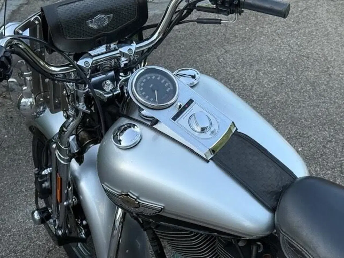 Harley-Davidson 1450 Heritage Springer (2000 - 03) - FLSTS (18)