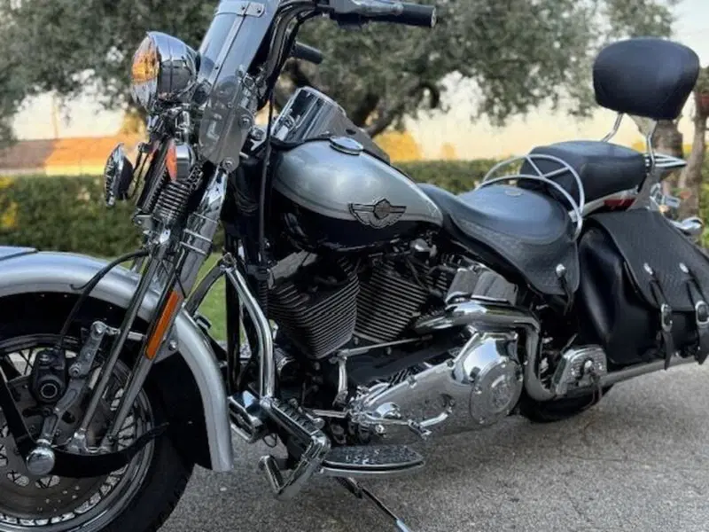 Harley-Davidson 1450 Heritage Springer (2000 - 03) - FLSTS (19)