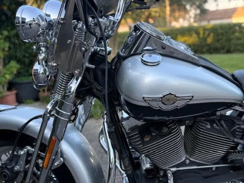 Harley-Davidson 1450 Heritage Springer (2000 - 03) - FLSTS (20)