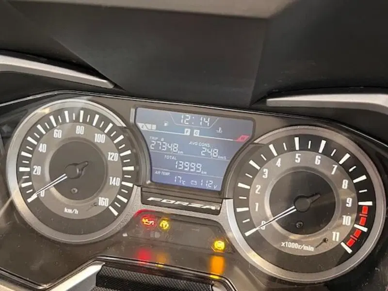 Honda Forza 300 Deluxe ABS (2018 - 20) (3)