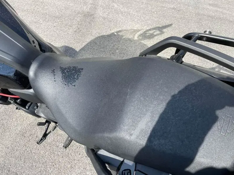 Harley-Davidson Pan America 1250 Special (2020 - 25) (9)