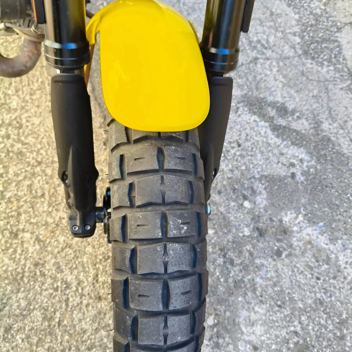 Ducati Scrambler 800 Icon (2023 - 24) (7)