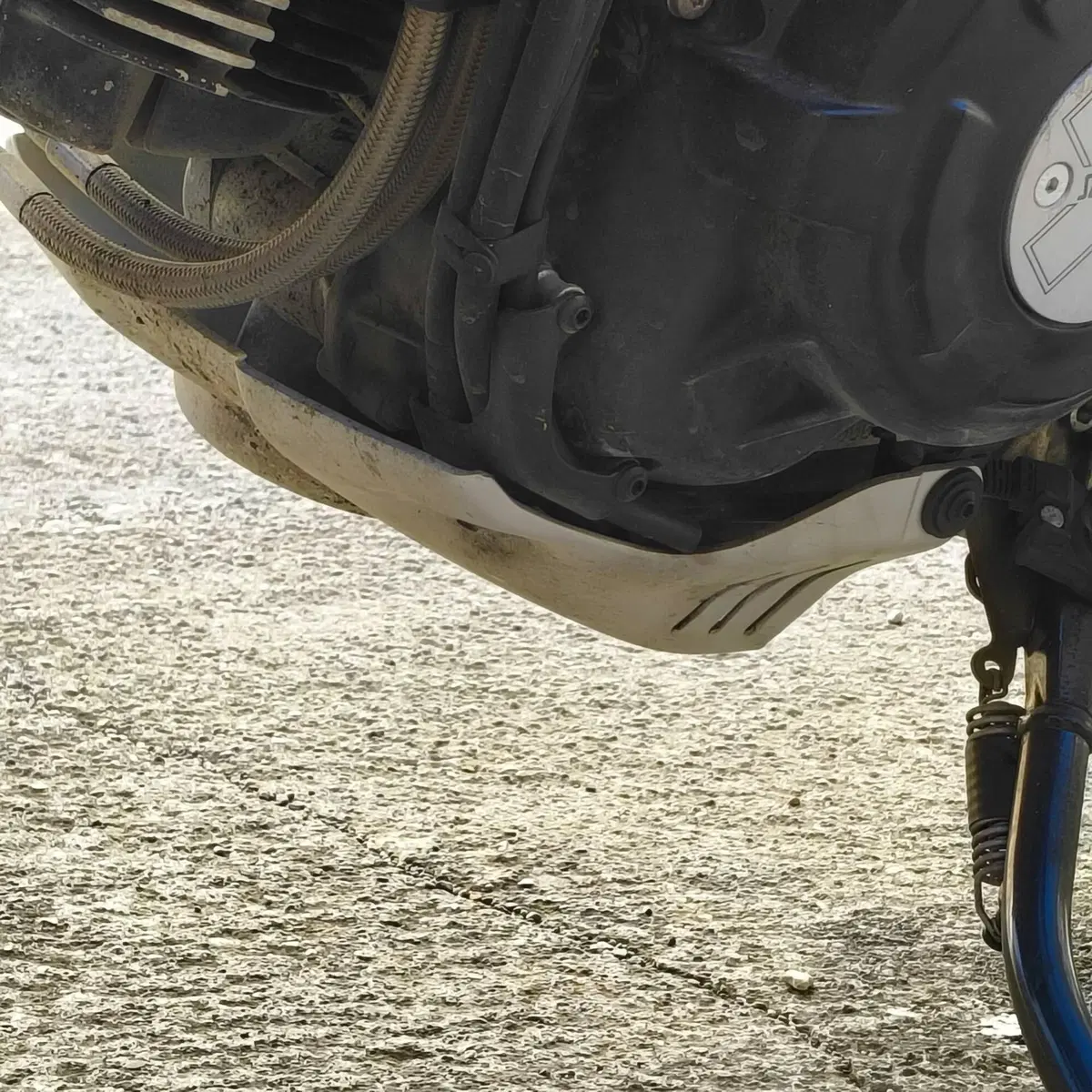 Ducati Scrambler 800 Icon (2023 - 24) (10)
