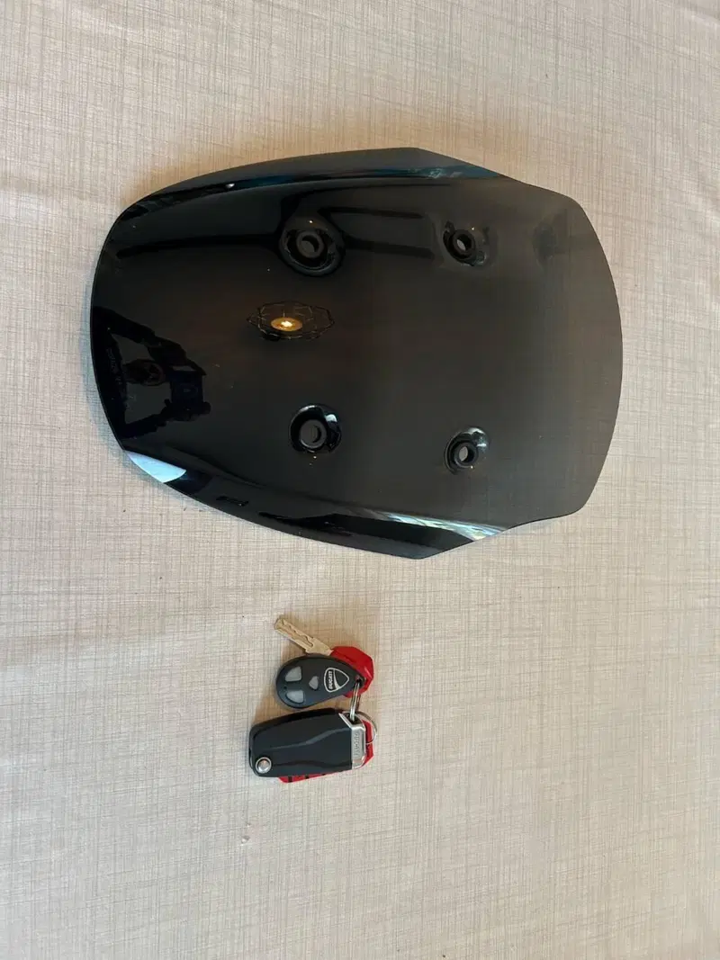 Ducati Diavel 1260 S (2019 - 20) (7)