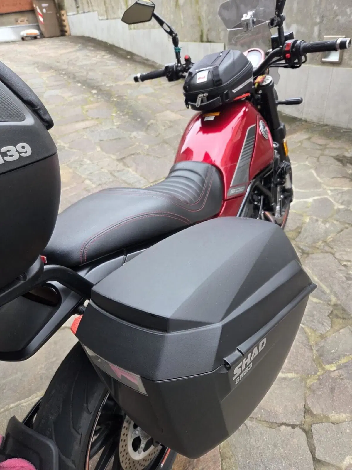 Benelli Leoncino 500 (2021 - 25) (6)