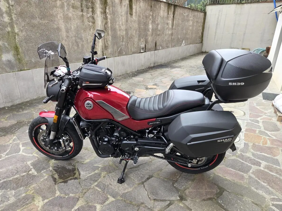 Benelli Leoncino 500 (2021 - 25)