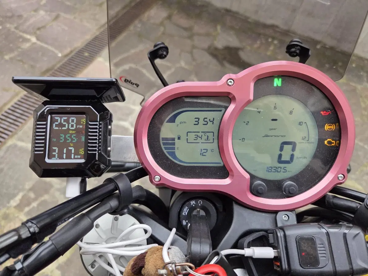 Benelli Leoncino 500 (2021 - 25) (11)