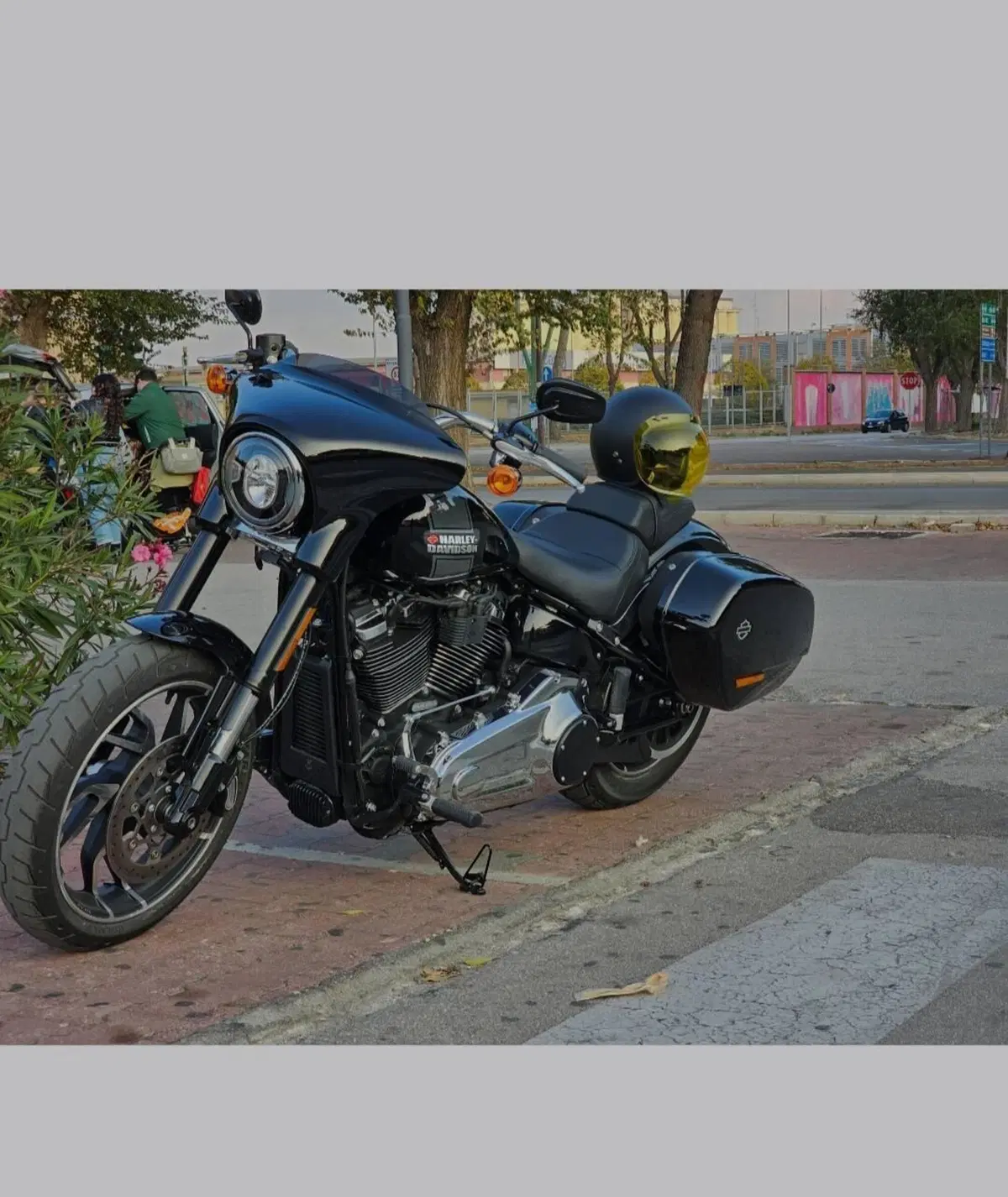 Harley-Davidson Sport Glide (2021 - 25)