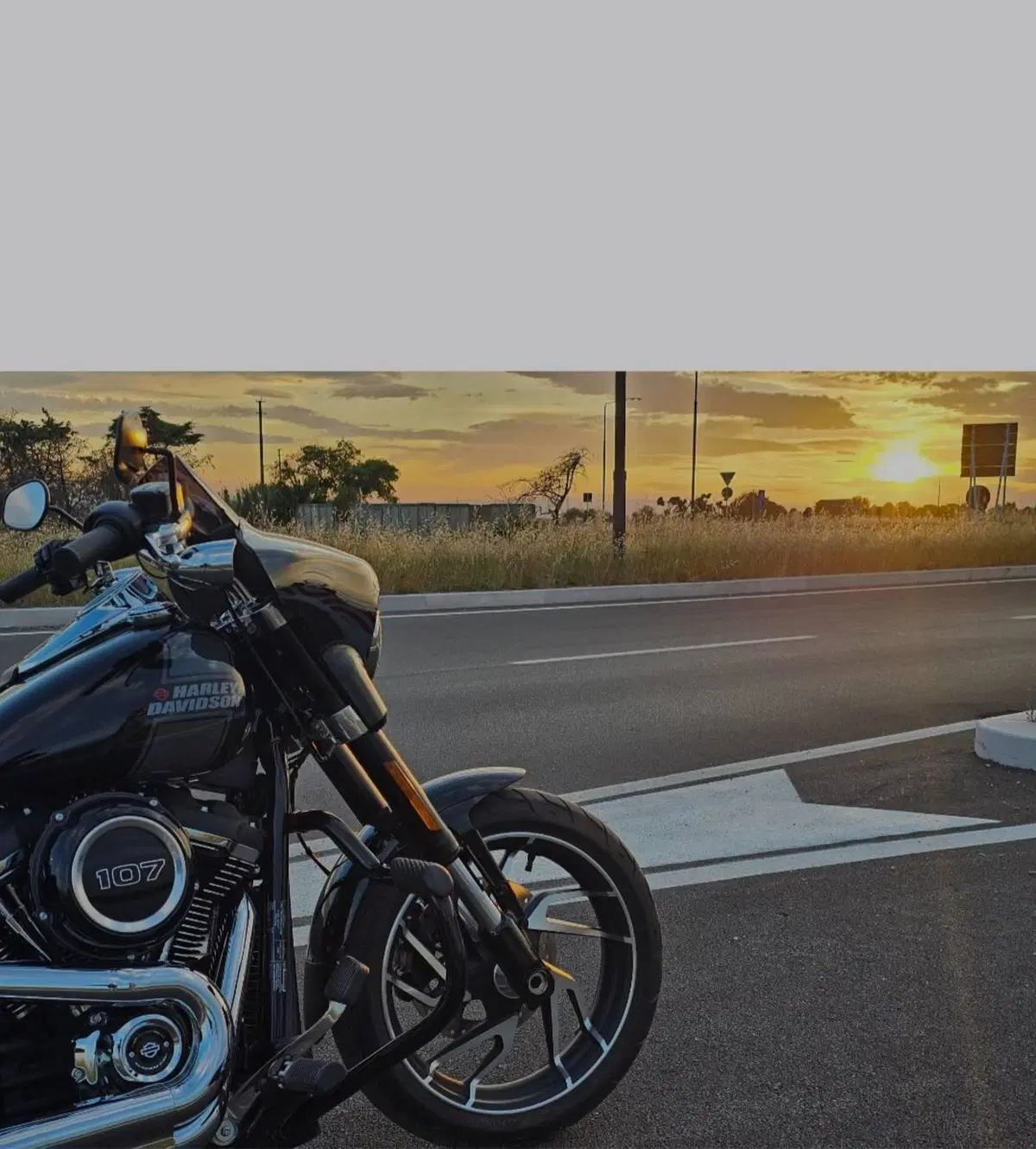 Harley-Davidson Sport Glide (2021 - 25) (2)