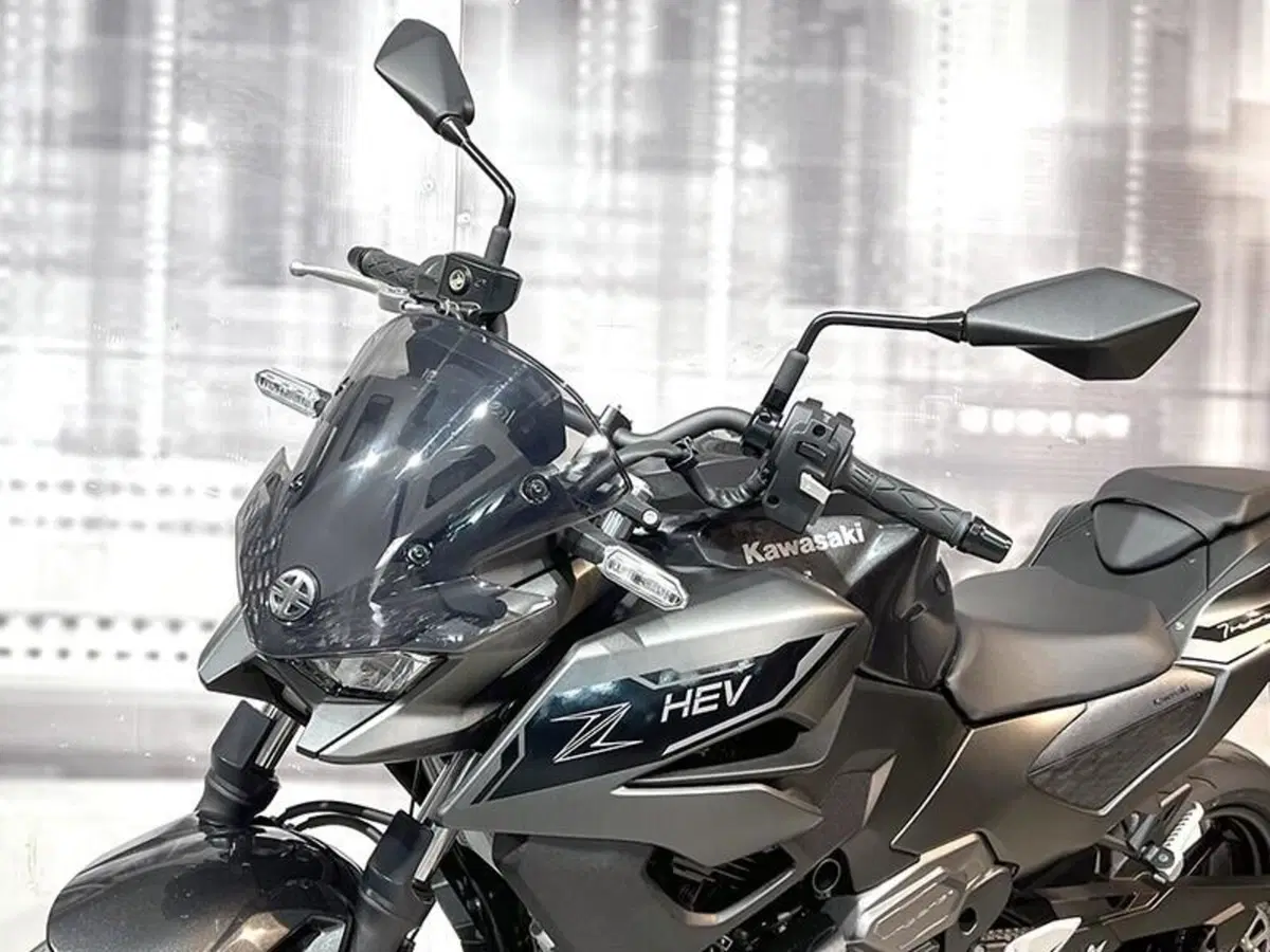 Kawasaki Z7 Hybrid (2024 - 26) (5)
