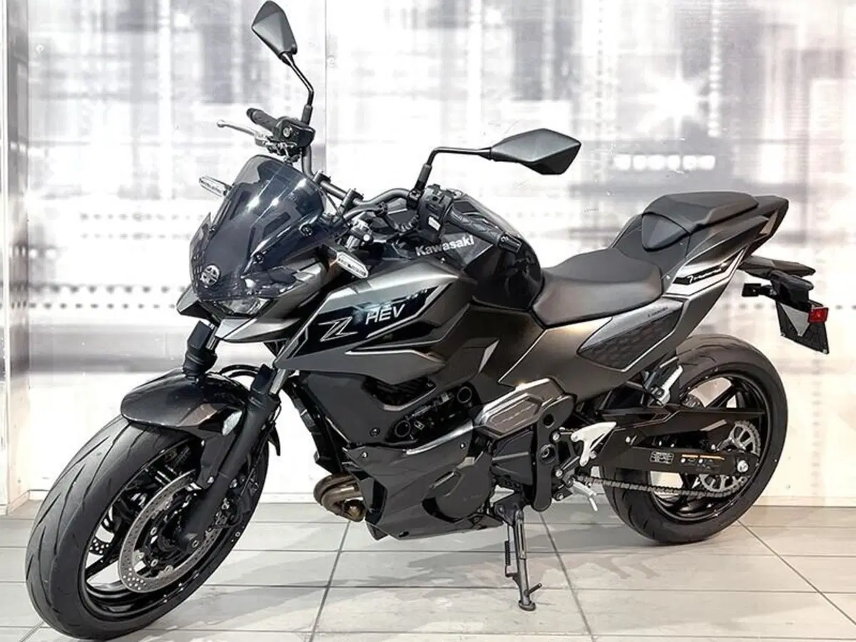 Kawasaki Z7 Hybrid (2024 - 26) (7)