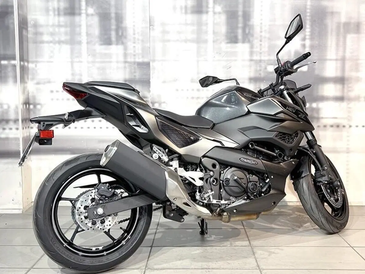Kawasaki Z7 Hybrid (2024 - 26) (8)