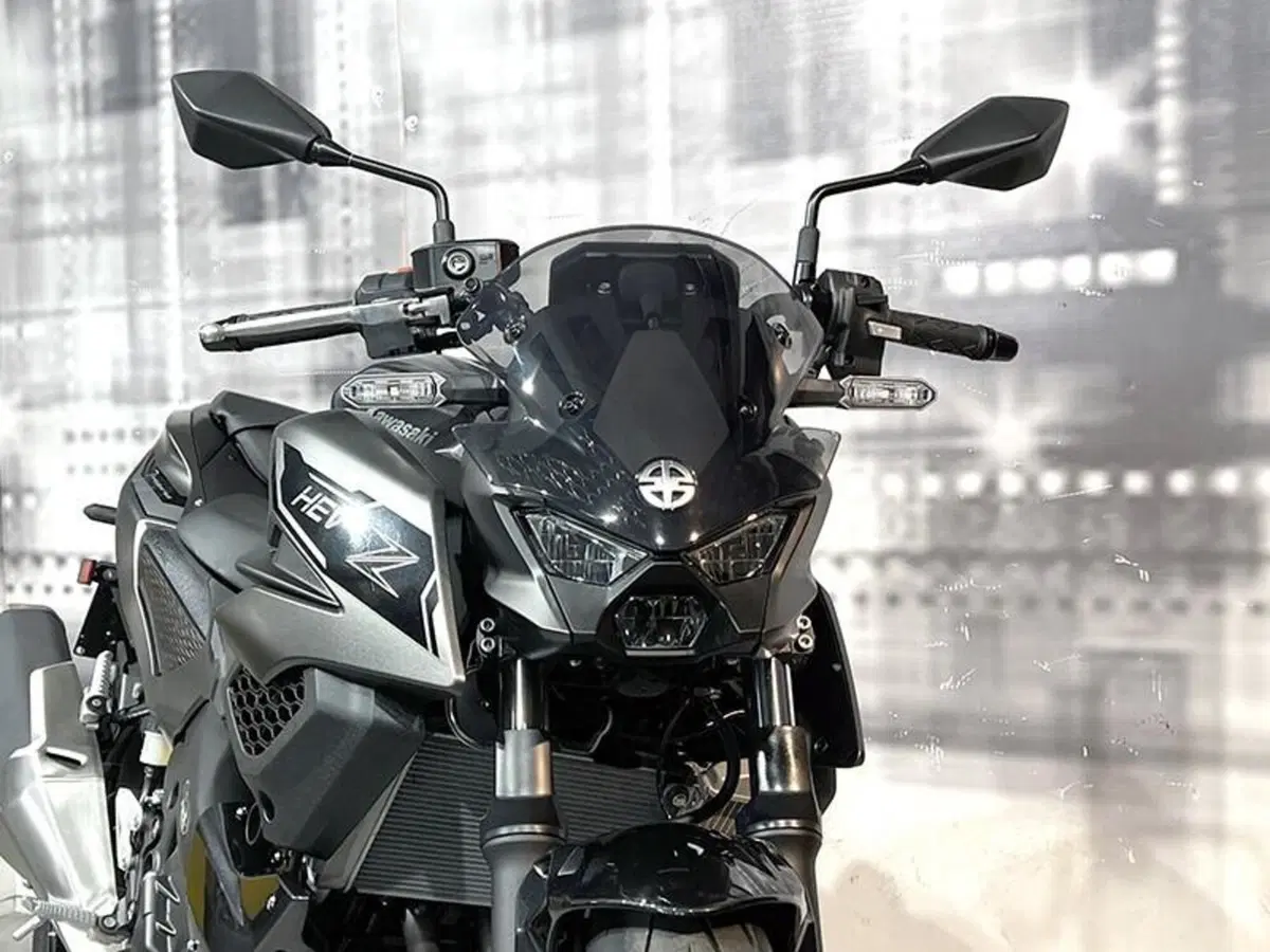 Kawasaki Z7 Hybrid (2024 - 26) (9)