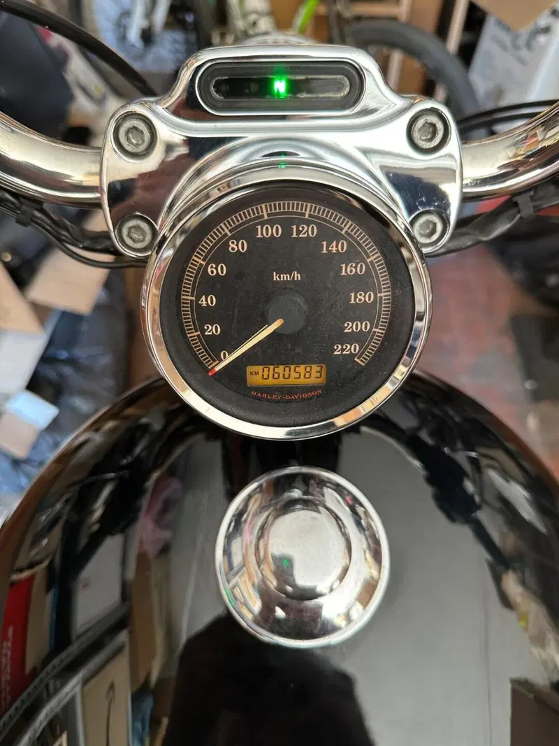 Harley-Davidson 883 Custom (2008 - 12) - XL 883C (7)