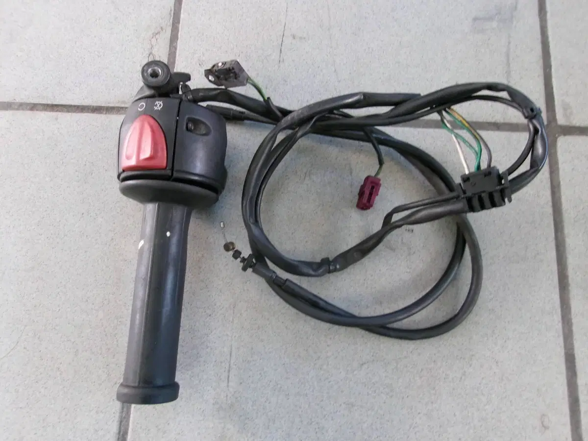 DEVIOLUCI DESTRO BMW F650 CS SCARVER (2)