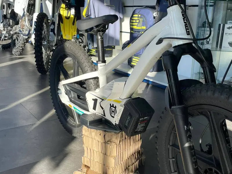Husqvarna EE 1.20 (2023 - 24) (3)