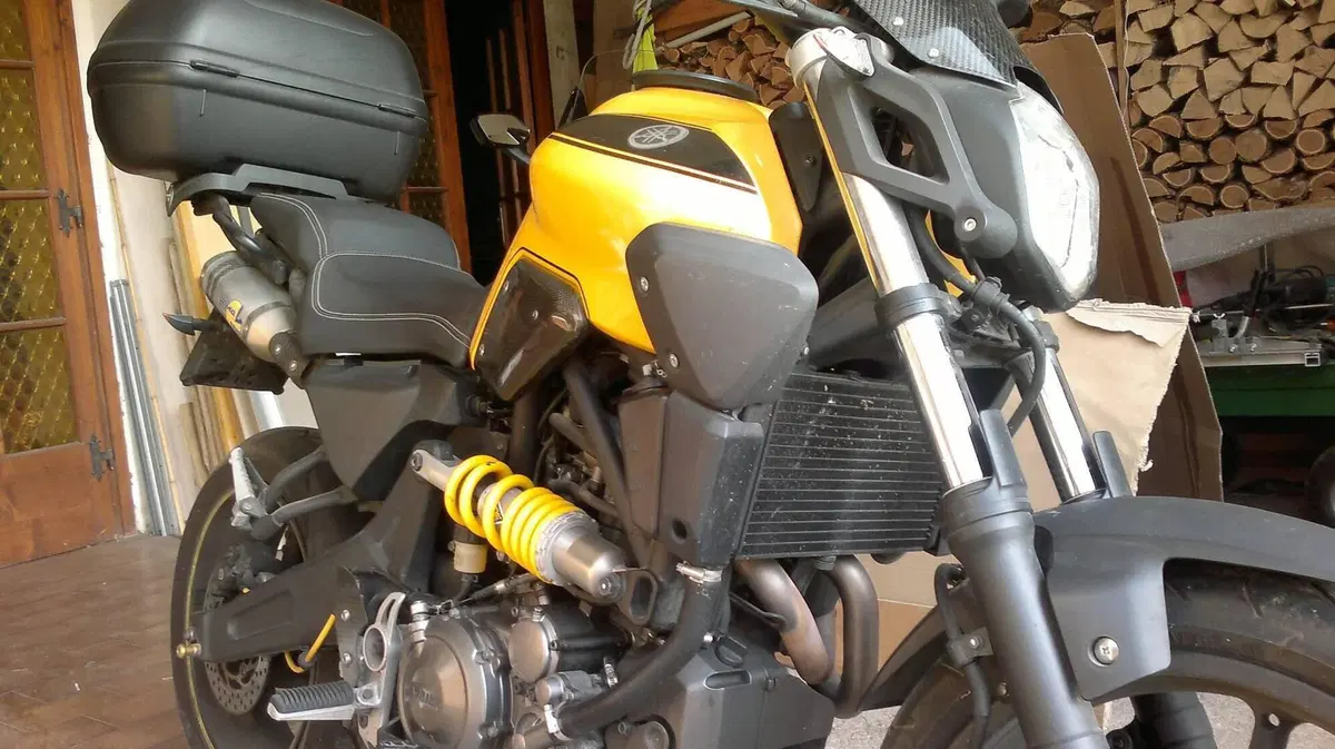 Yamaha MT-03 (2006 - 14) (3)