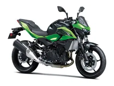 Kawasaki Z 500 (2024 - 26) nuova