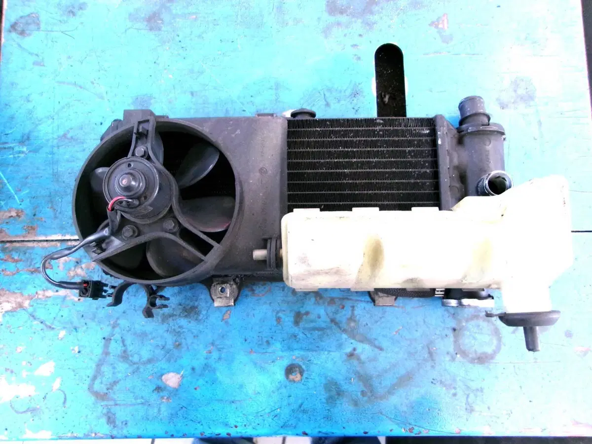 RADIATORE BMW F 650 CS SCARVER (2)