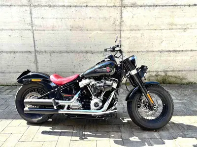 Harley-Davidson 107 Slim (2018 - 20) - FLSL usata