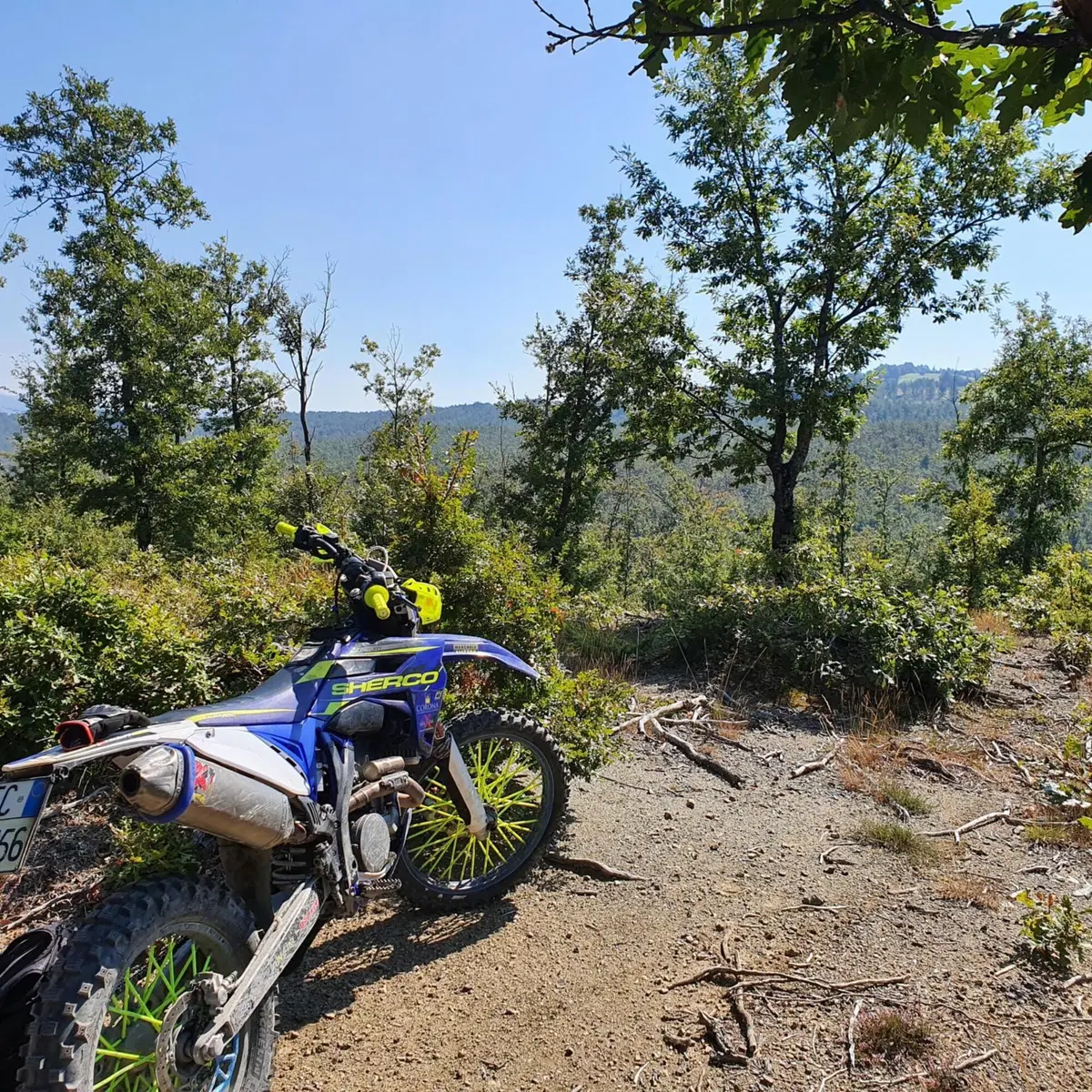 Sherco 300 SEF-R Factory (2016)