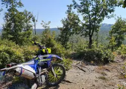 Sherco 300 SEF-R Factory (2016) usata