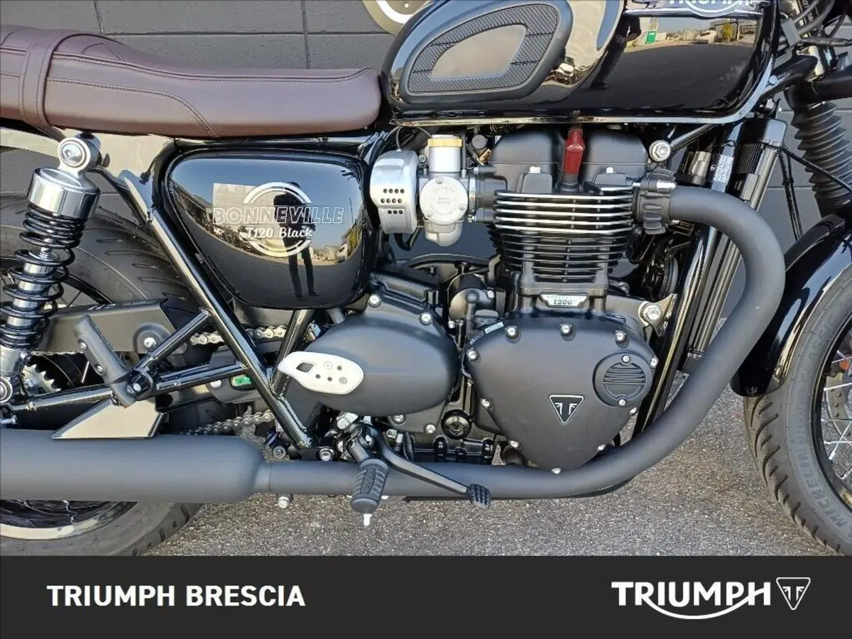 Triumph Bonneville T120 Black (2026) (5)