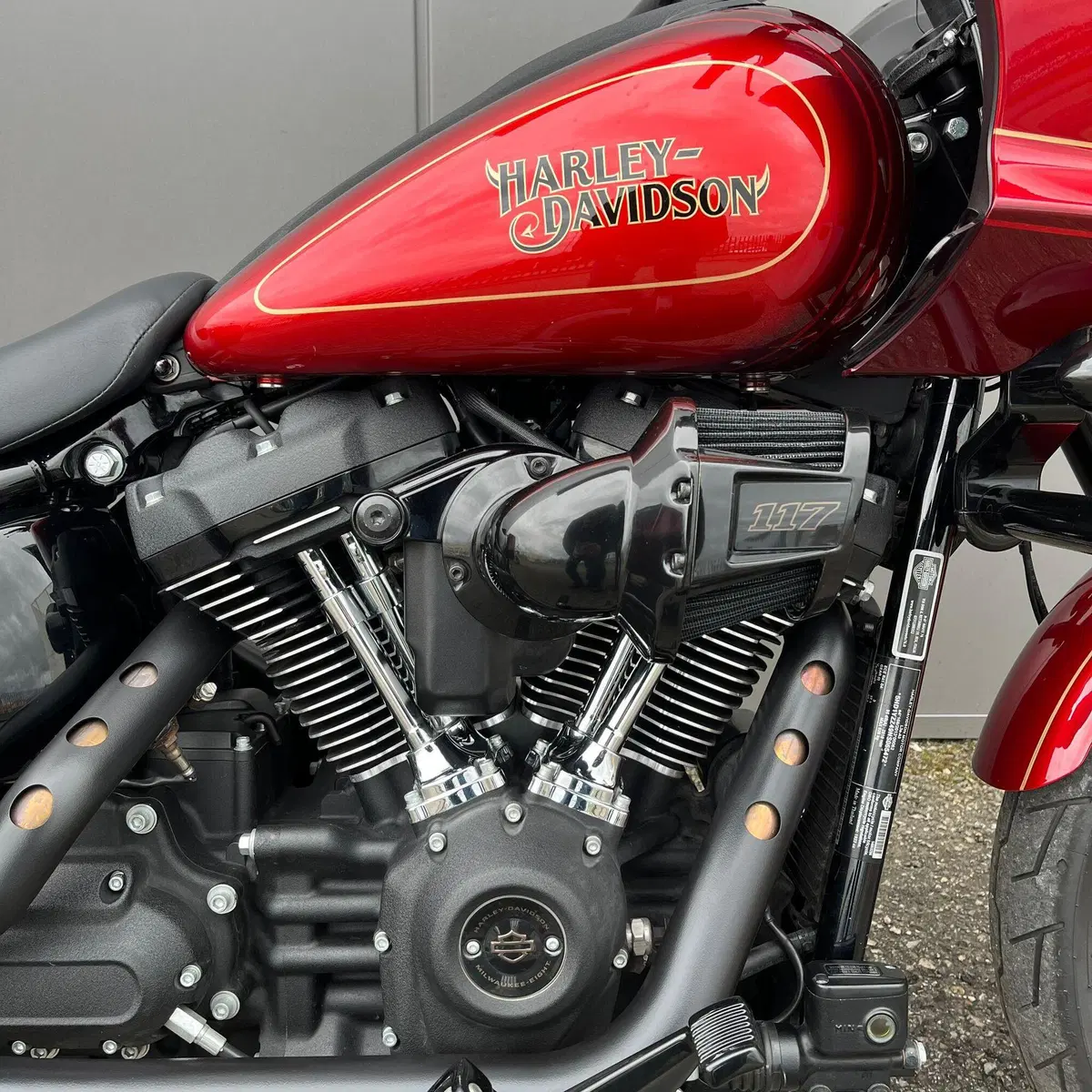 Harley-Davidson Low Rider ST (2022 - 24) (8)