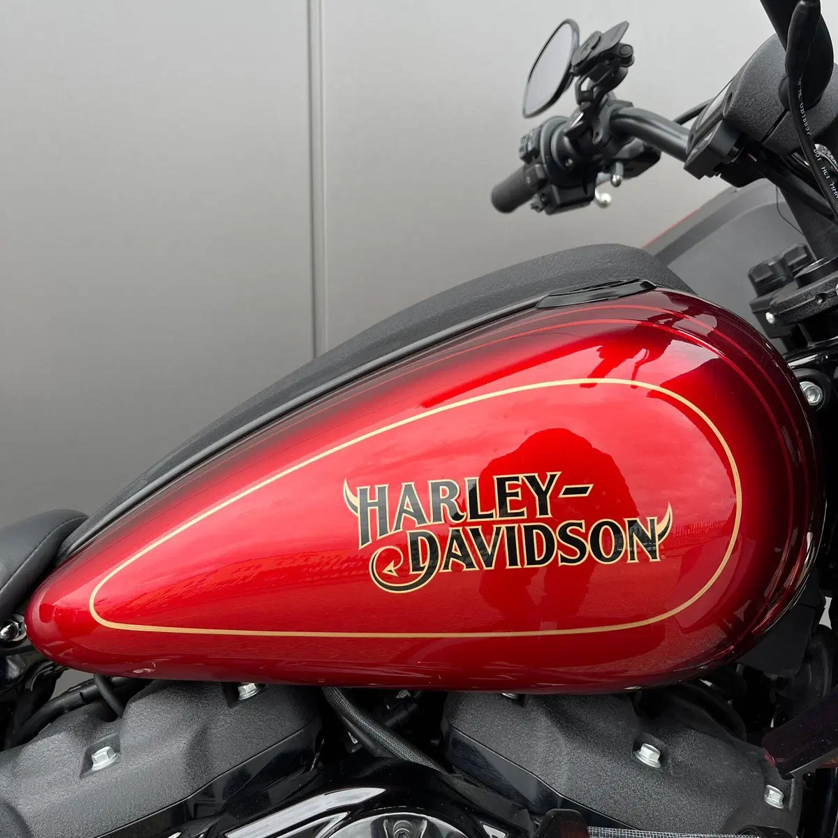 Harley-Davidson Low Rider ST (2022 - 24) (9)