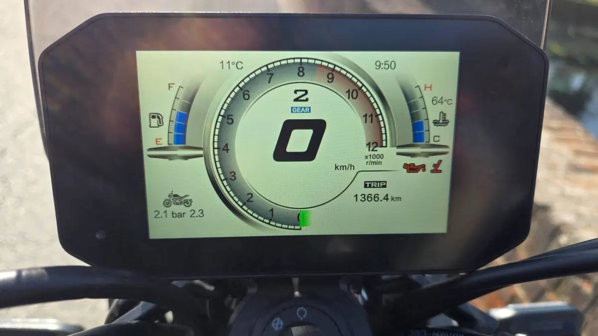 Voge Trofeo 525ACX Scrambler (2023 - 26) (7)