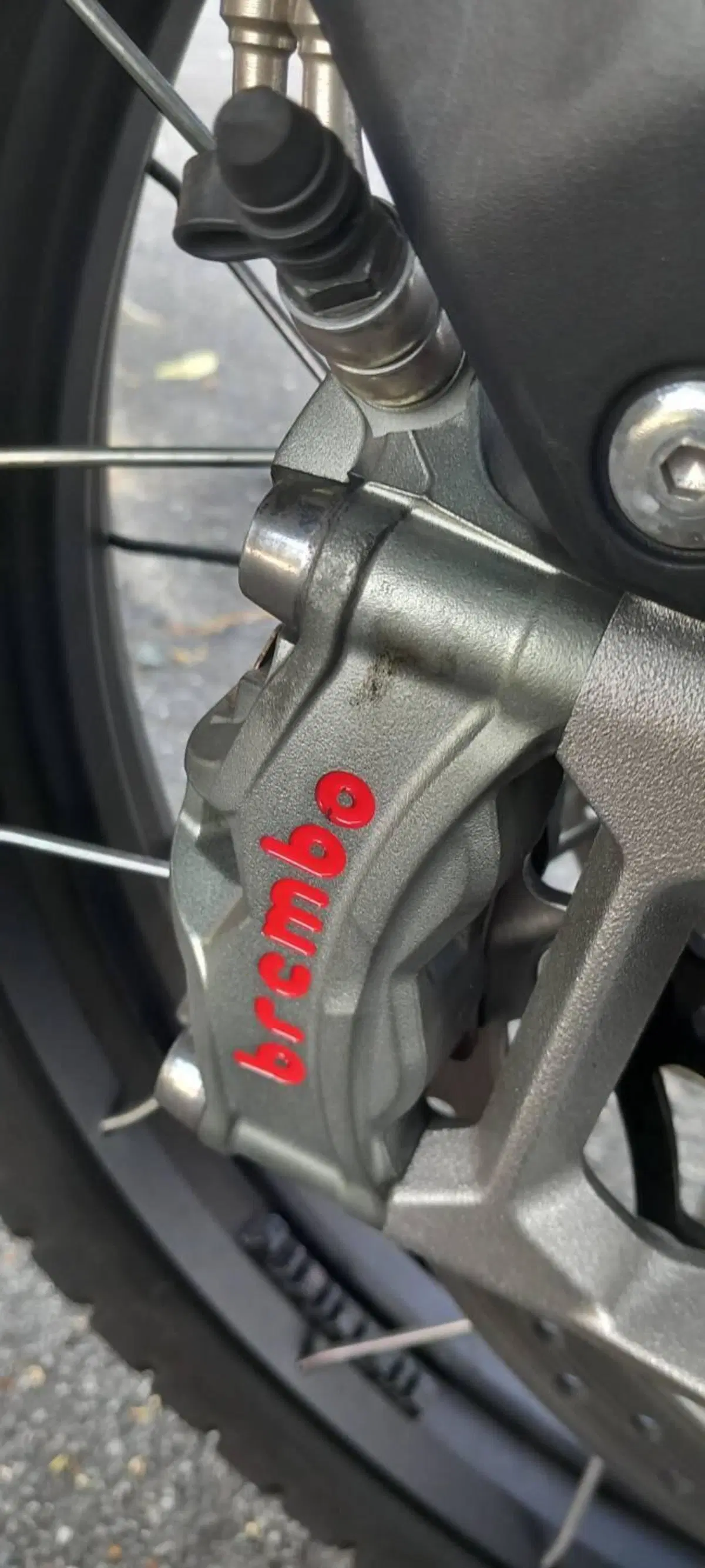 Triumph Tiger 900 Rally Pro (2020 - 23) (7)