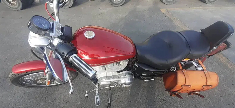Harley-Davidson 883 Low (2006 - 07) - XL 883L (8)