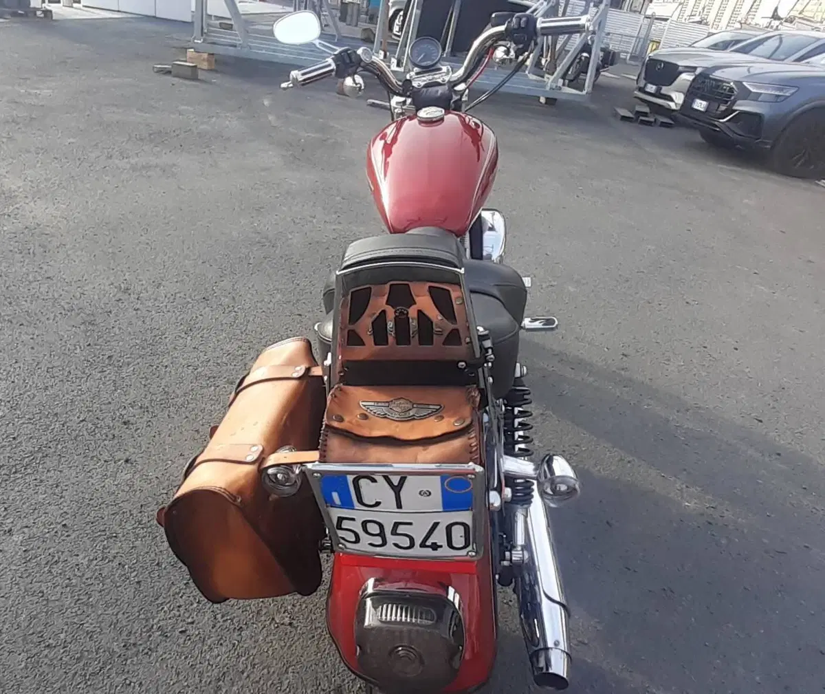 Harley-Davidson 883 Low (2006 - 07) - XL 883L (5)