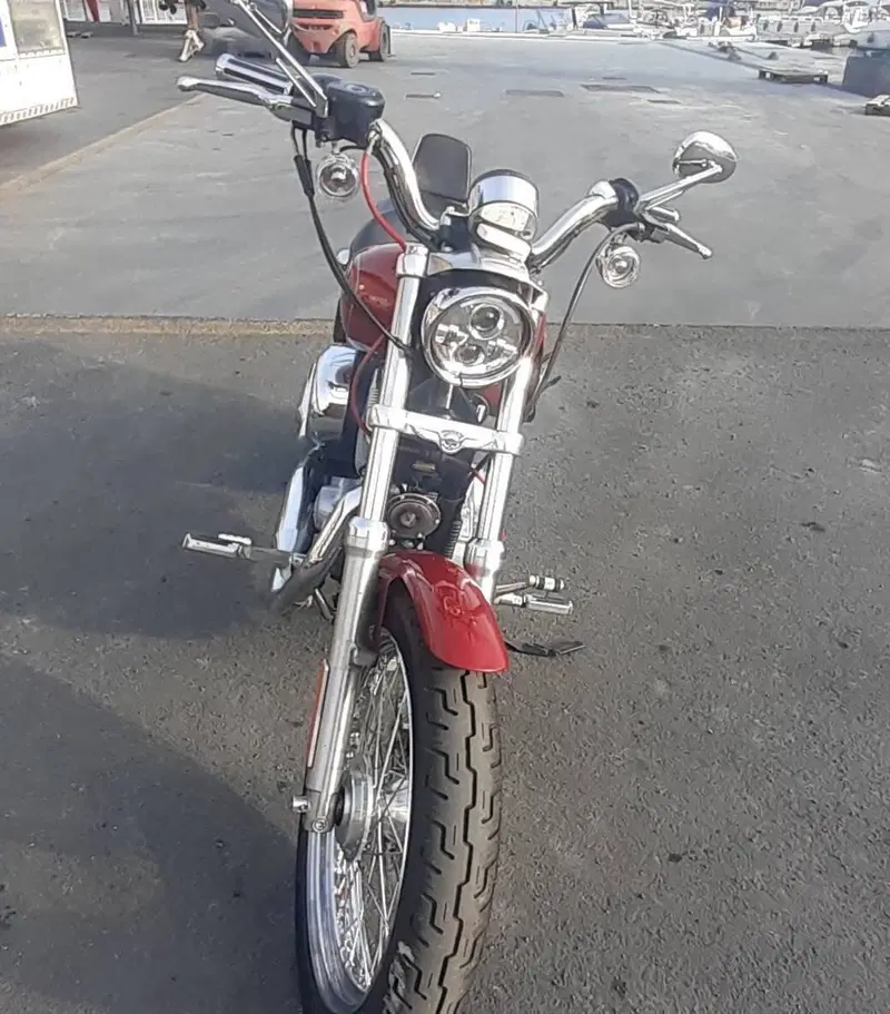 Harley-Davidson 883 Low (2006 - 07) - XL 883L (4)