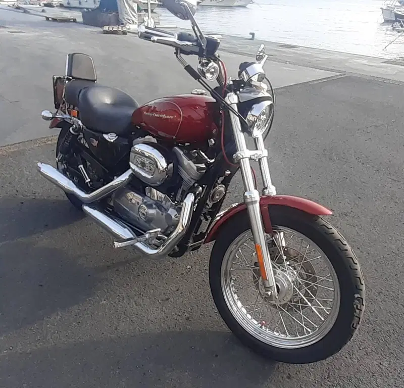 Harley-Davidson 883 Low (2006 - 07) - XL 883L (3)