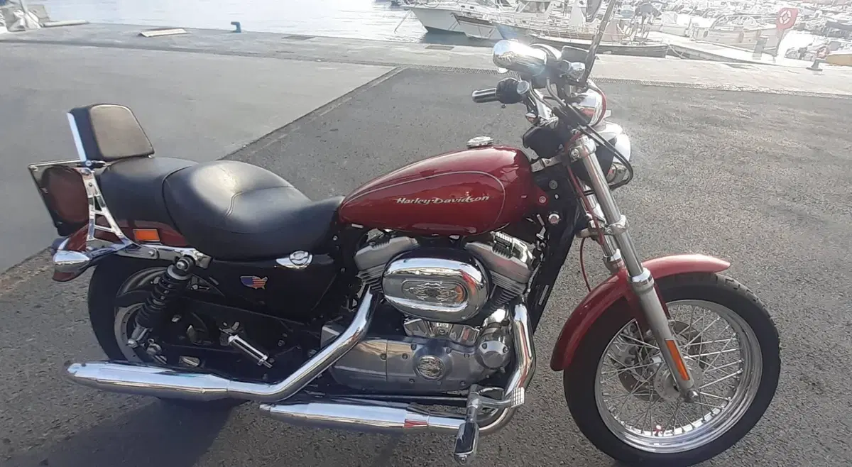 Harley-Davidson 883 Low (2006 - 07) - XL 883L