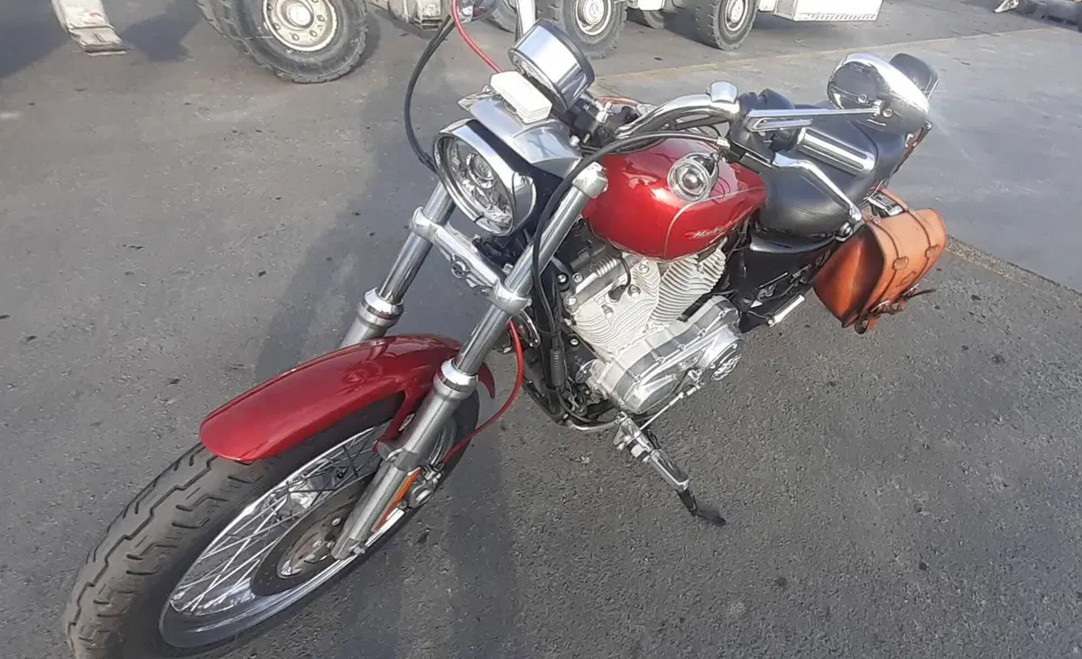 Harley-Davidson 883 Low (2006 - 07) - XL 883L (2)