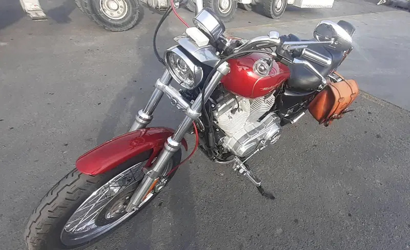 Harley-Davidson 883 Low (2006 - 07) - XL 883L (2)