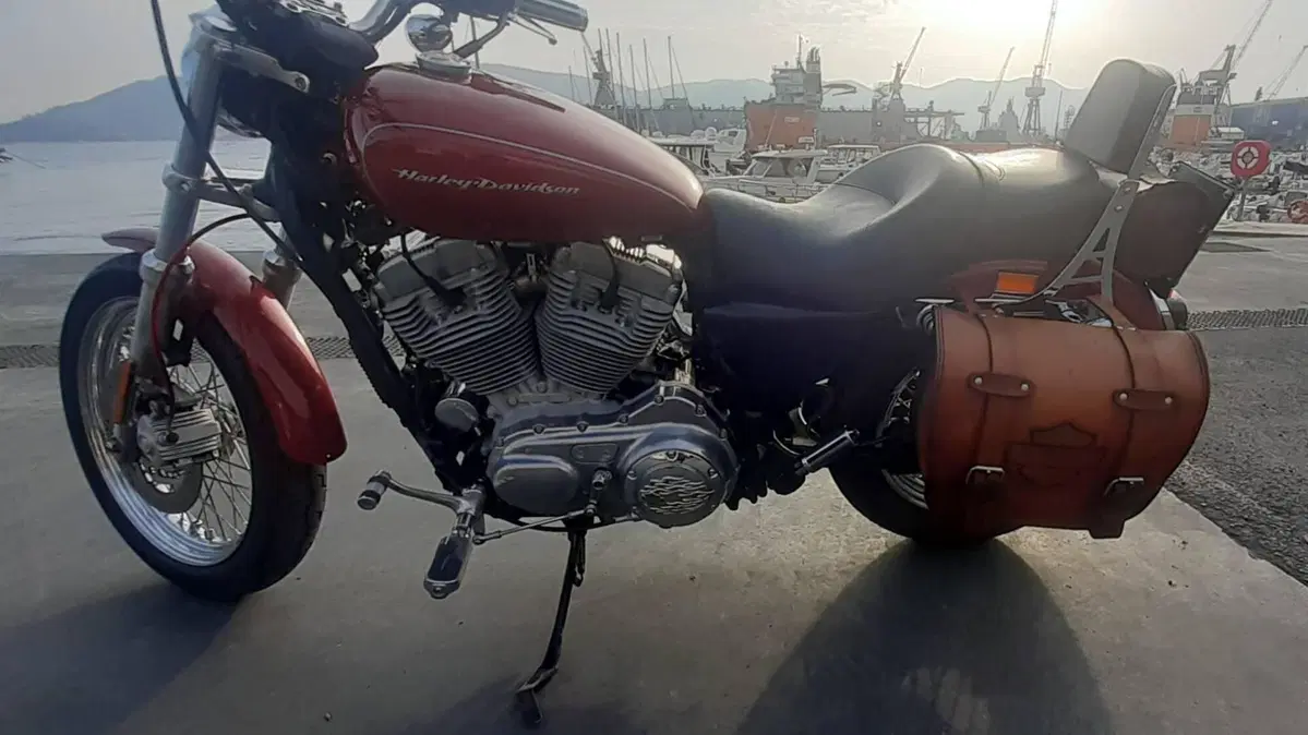 Harley-Davidson 883 Low (2006 - 07) - XL 883L (6)