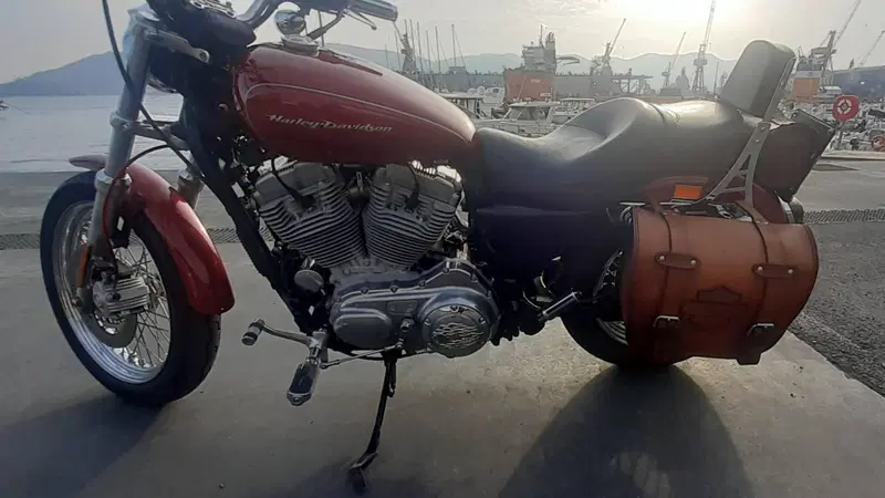 Harley-Davidson 883 Low (2006 - 07) - XL 883L (6)