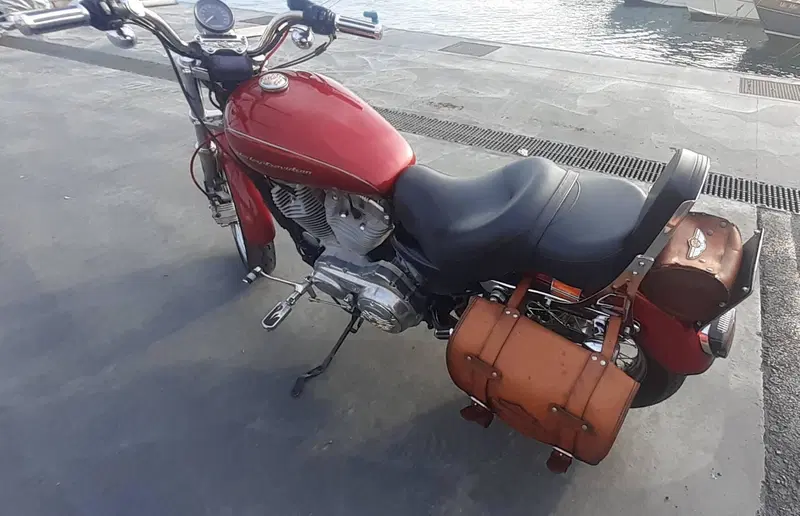 Harley-Davidson 883 Low (2006 - 07) - XL 883L (9)