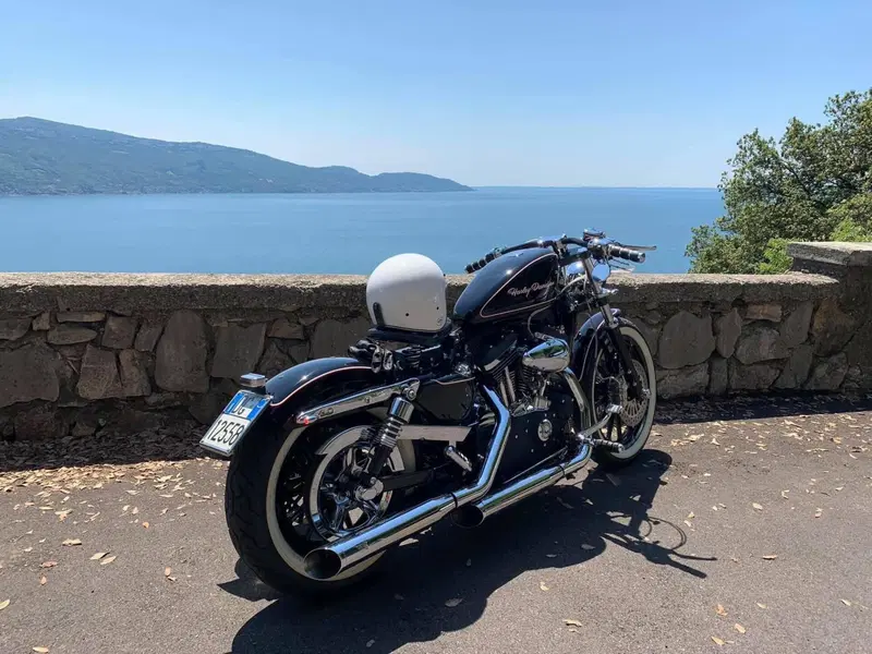 Harley-Davidson 883 R (2008 - 16) - XL 883R (6)